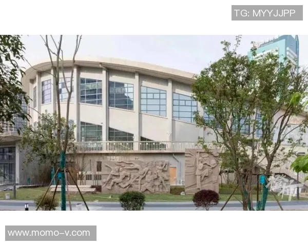 杭州网球队实力分析与未来发展潜力探讨 杭州网球队实力分析与未来发展潜力探讨