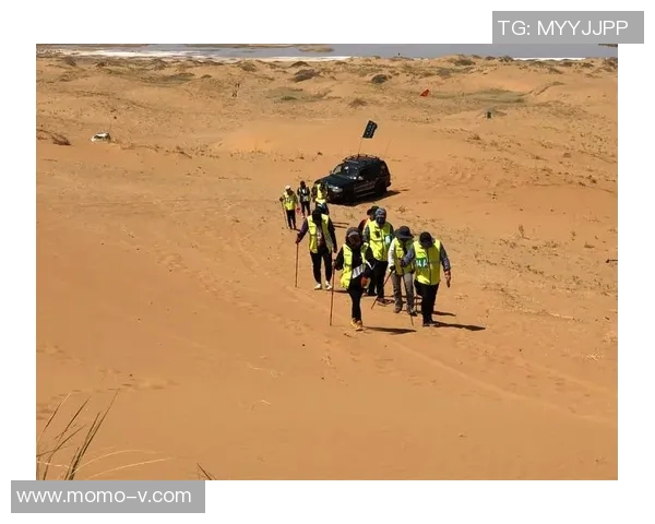 王芳攀岩人生的深度对话与挑战探索之旅 王芳攀岩人生的深度对话与挑战探索之旅
