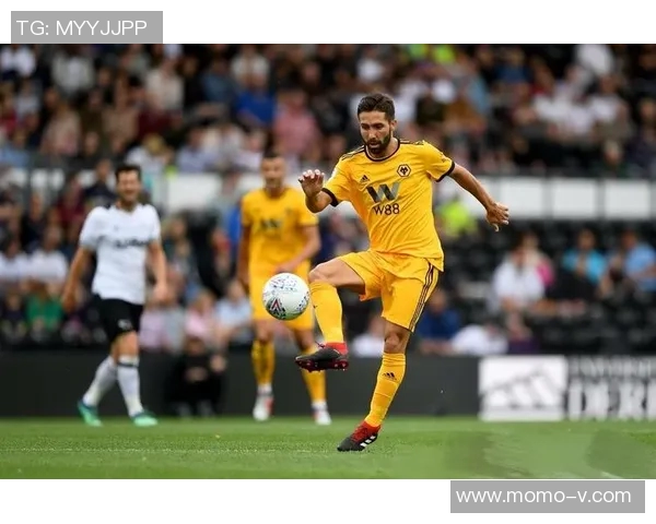 英超球队地区分布：英超各大球队的地域分布与特点