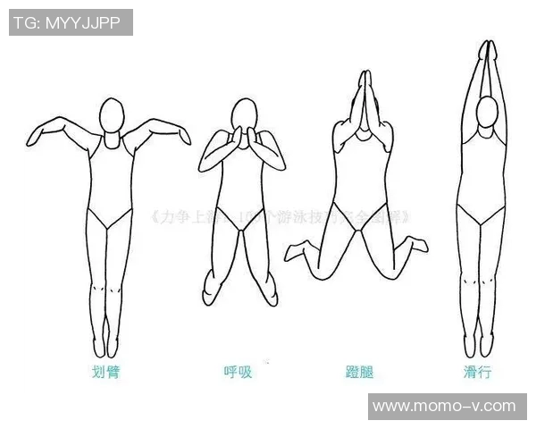 蛙泳技巧与训练方法解析 提升游泳成绩的科学指南